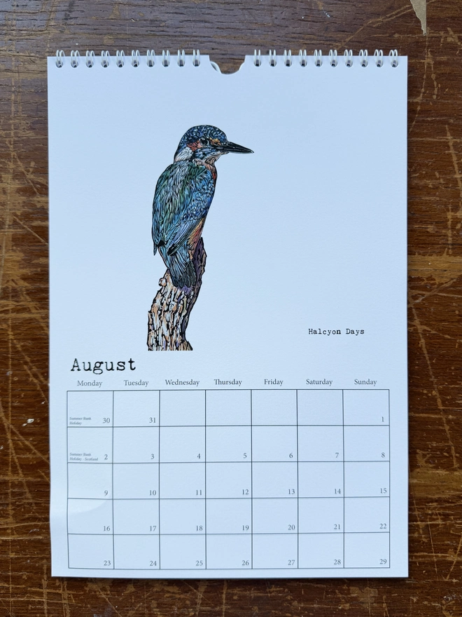 Halcyon Days Kingfisher for August