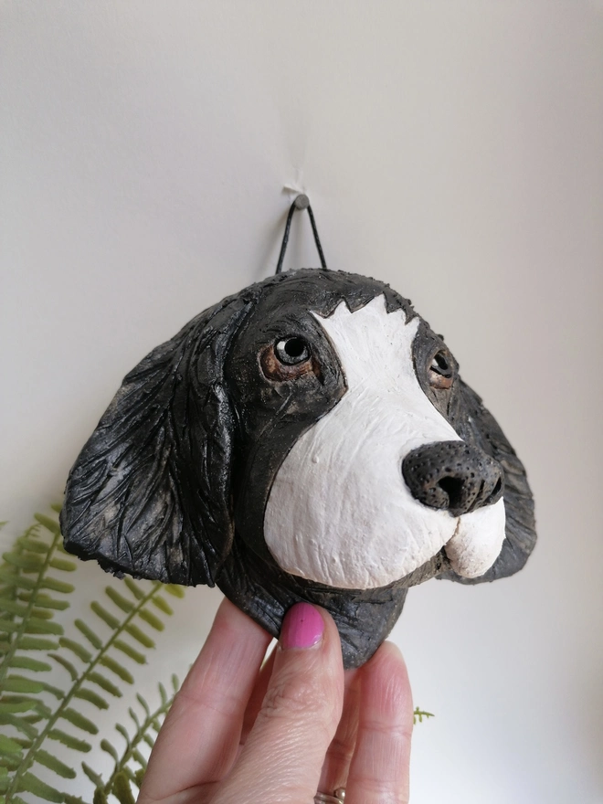Black/ Grey Collie Dog Head With Brown Eyes