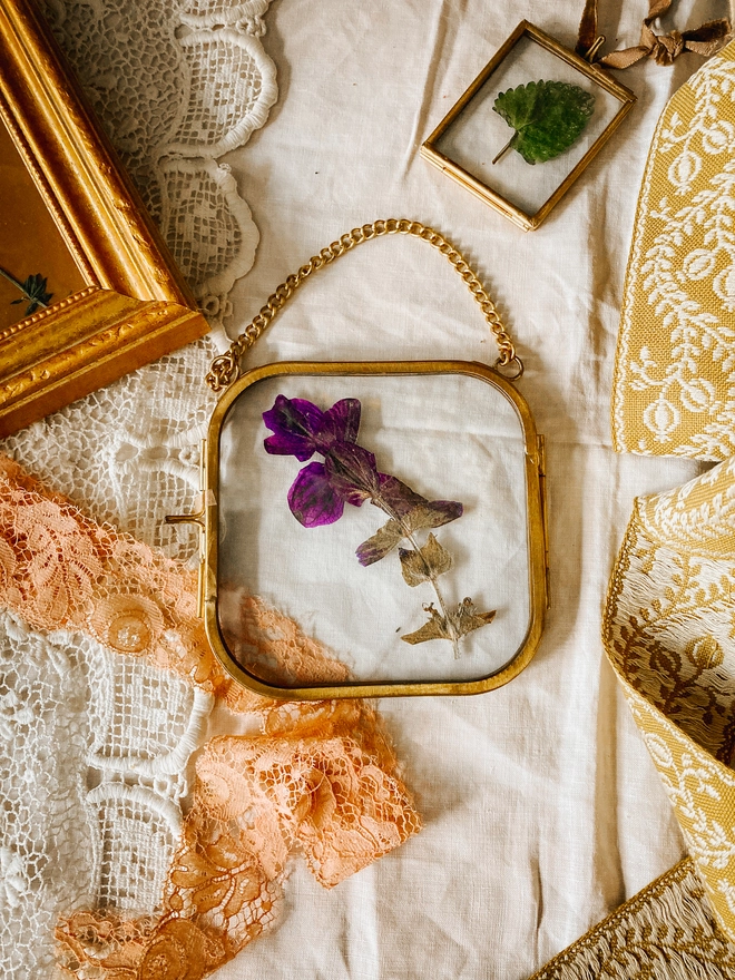 Pressed Blue Salvia Sage Flower Framed Keepsake