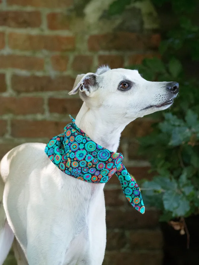 Peppermint Delight Rock Candy Dog Bandana