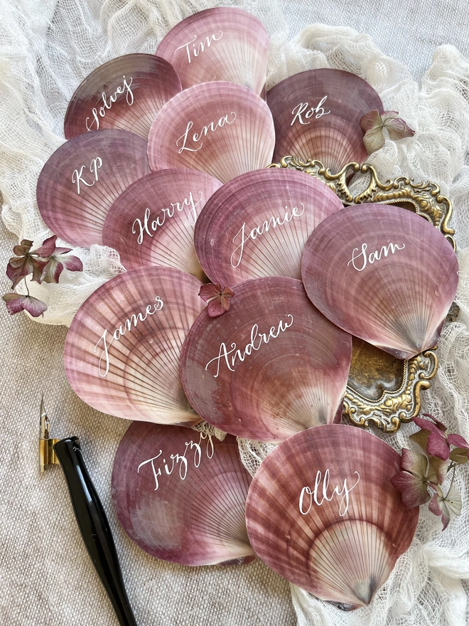scallop shell place cards