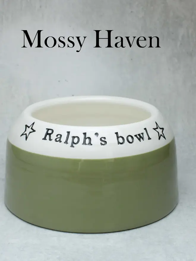 Cocker spaniel Ear Free Bowl in Mossy Haven 