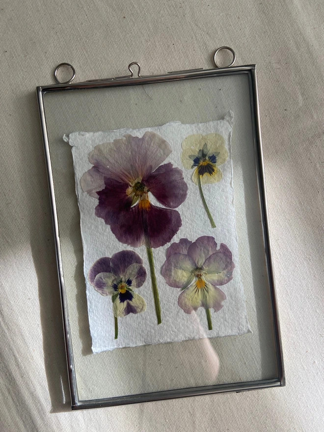 Sliver glass frame with pressed pansy artwork 