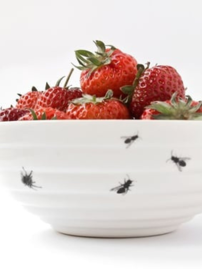 Insect bowl
