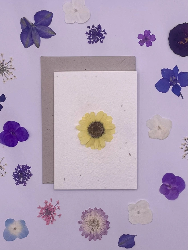 Real Pressed Flower Plantable Notecard, Yellow Daisy