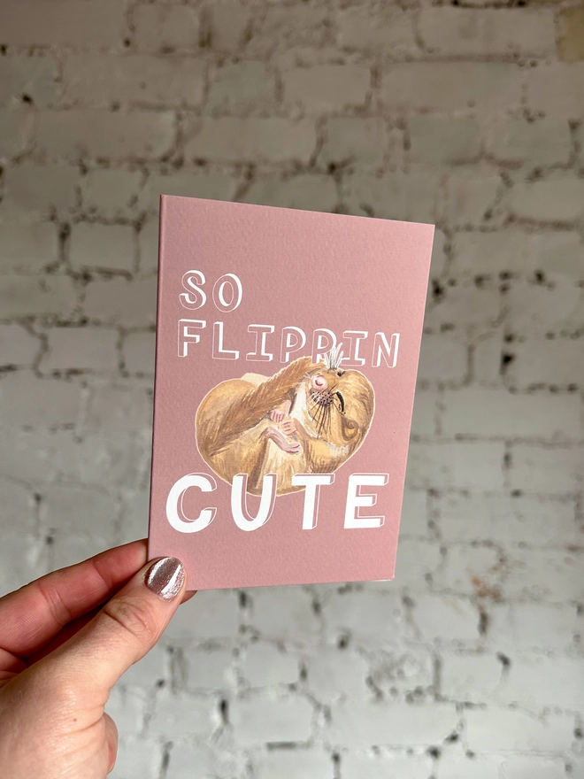 a dusty pink greetings card featuring an illustration of a sleeping mouse with the text “so flippin cute”