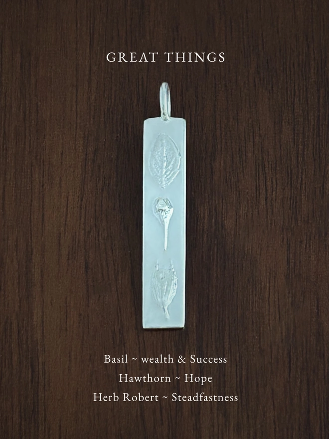 Great Things bar pendant in sterling silver on a dark background with the meaning of the flowers written in white