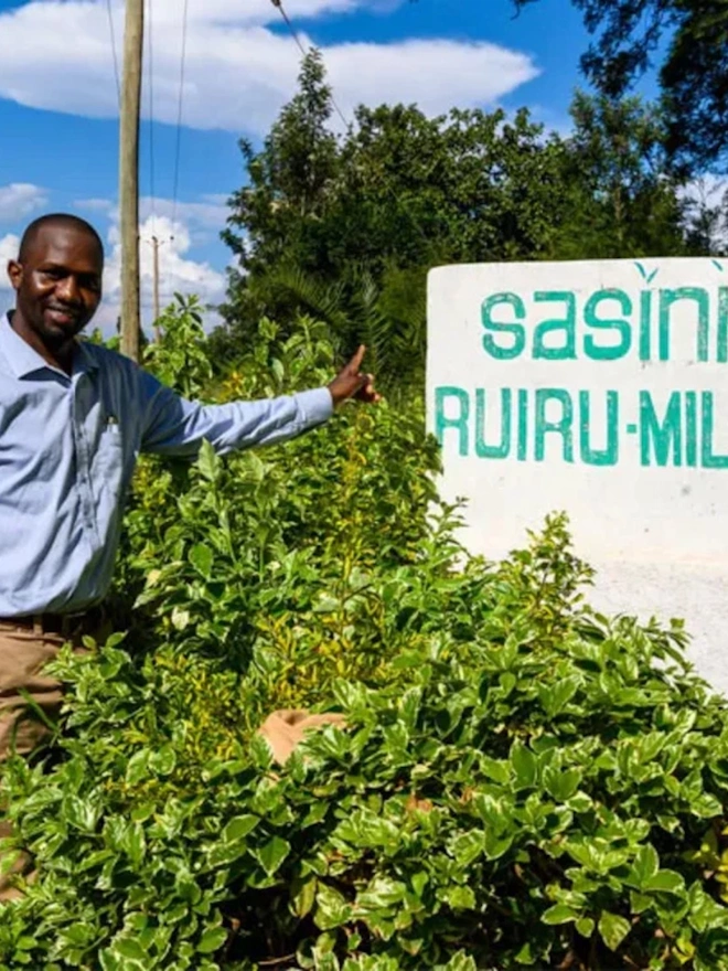Lush green countryside