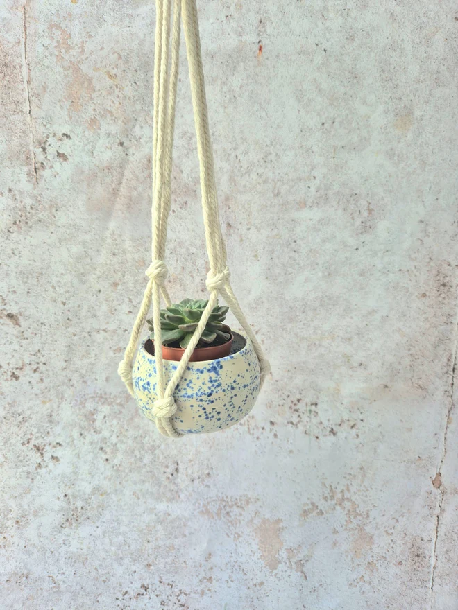 ceramic plant pot, mini plant pot, planter, succulent plant, Jenny Hopps Pottery, blue