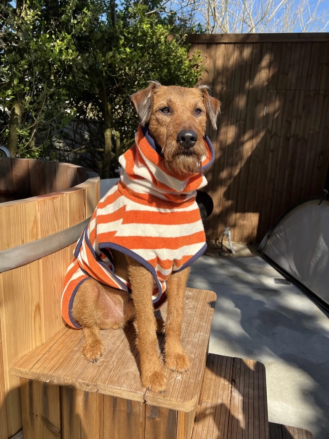 Nautically styled orange dog drying robe. 100% absorbent cotton. Popper fastening, tail hole and full belly coverage.  