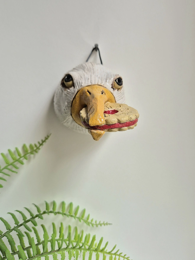 Seagull With Jammy Dodger 