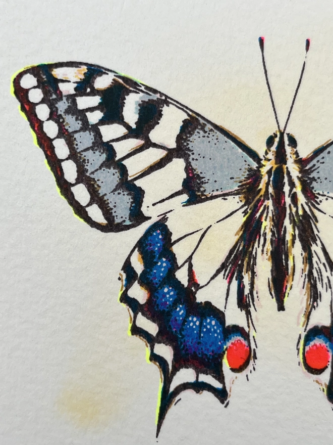 Swallowtail butterfly screenprint artwork by London Based artist and textile designer Kath Leone