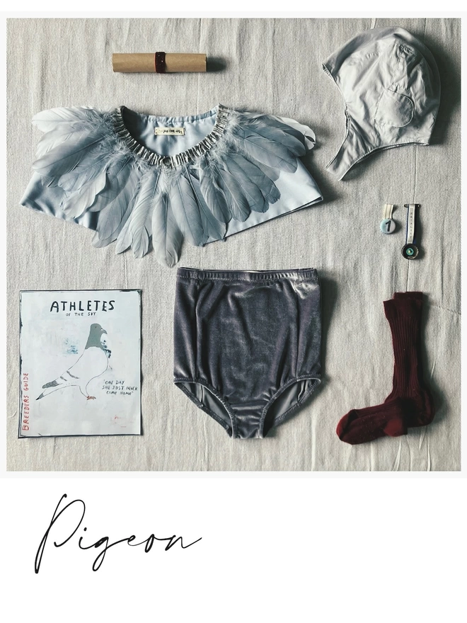 A square flat lay of a pigeon costume. Top right a grey cotton flying hat, Top left a rolled paper with a deep red velvet ribbon, Middle left a grey feather cape, to the bottom left a picture of a pigeon, bottom middle grey velvet shorts, bottom right deep red ribbed socks, middle right bottle top number medals