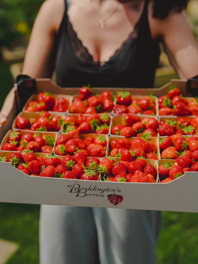 Class 1 Strawberries Boddingtons