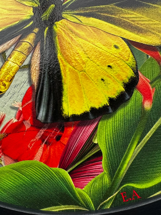 Close up details of yellow, birdwing butterfly painting with spot varnish details. A red EA signature in the bottom, right hand side of art.