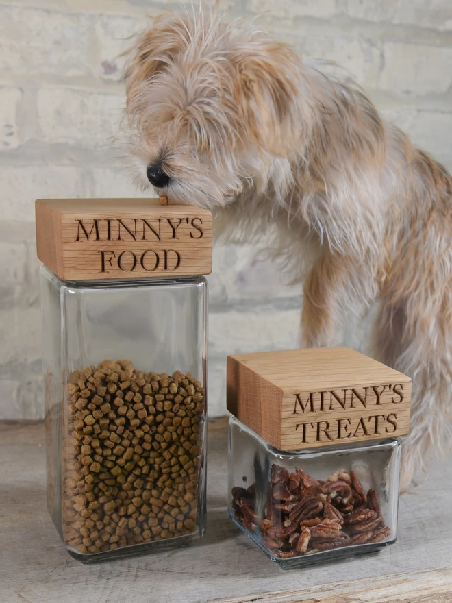 Dog food and treat jars with a little dog