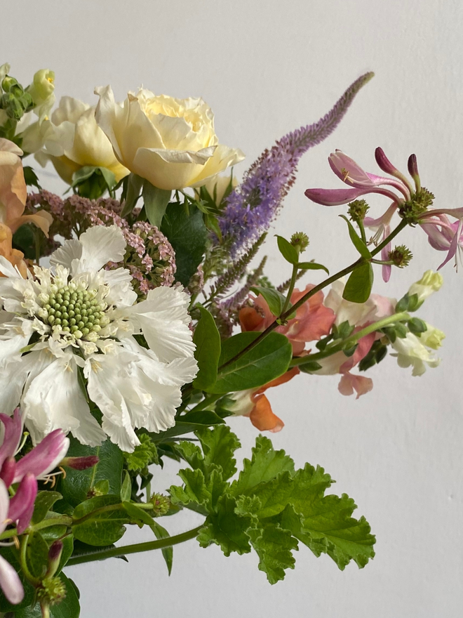 English garden bouquet flower box featuring a wild, hand-tied mix of pastel and bright seasonal blooms, including scented roses, mint, and soft garden foliage, freshly picked in Hampshire for July.