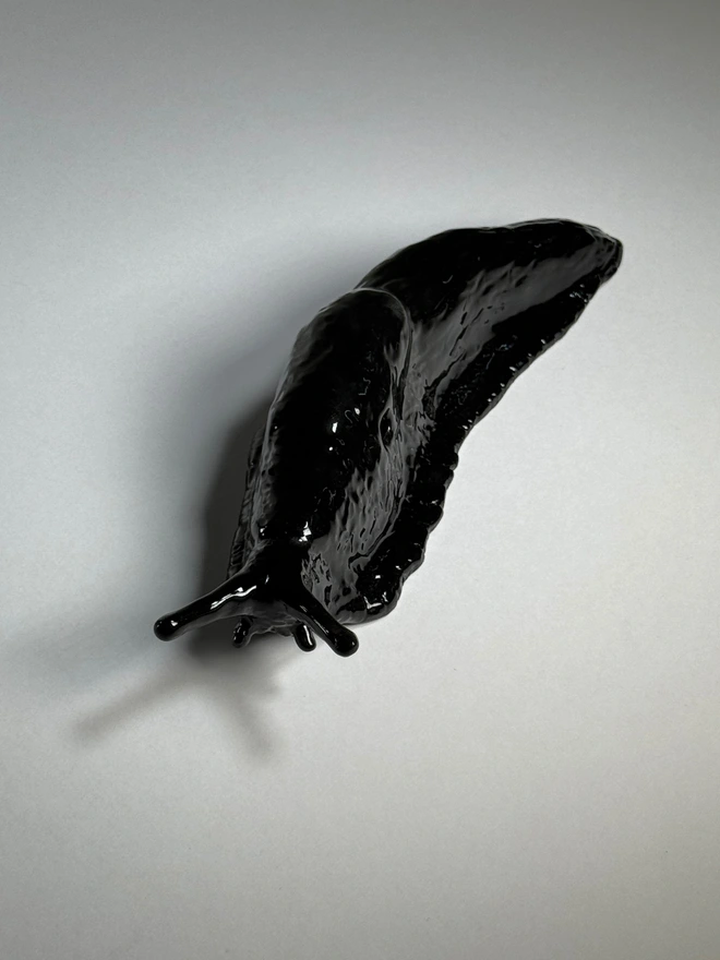 A Bigger Slug ii