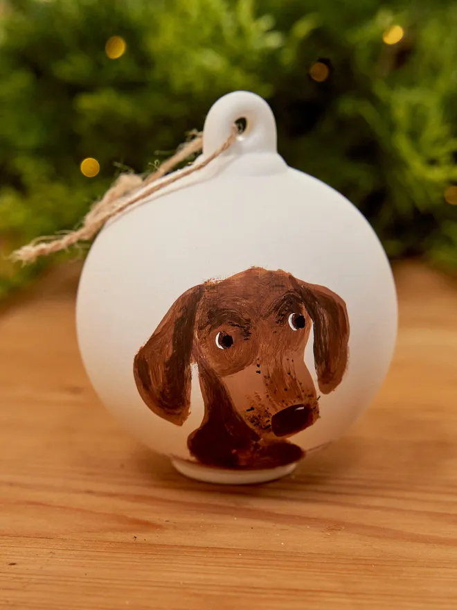 Personalised pet portrait bauble