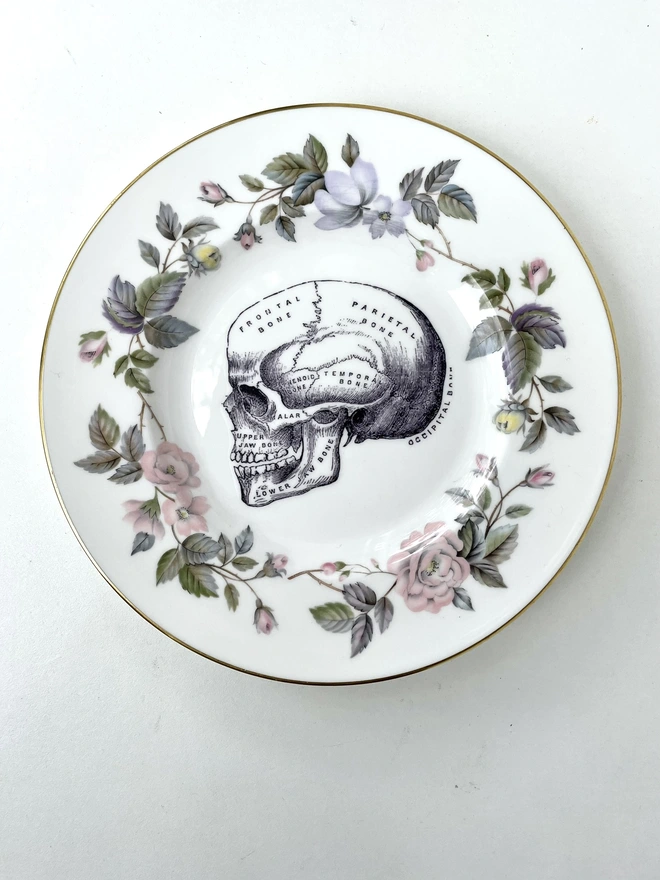 an ornate vintage china plate a pretty border and in teh centre is a vintage victorian illustration of an anatomical skull