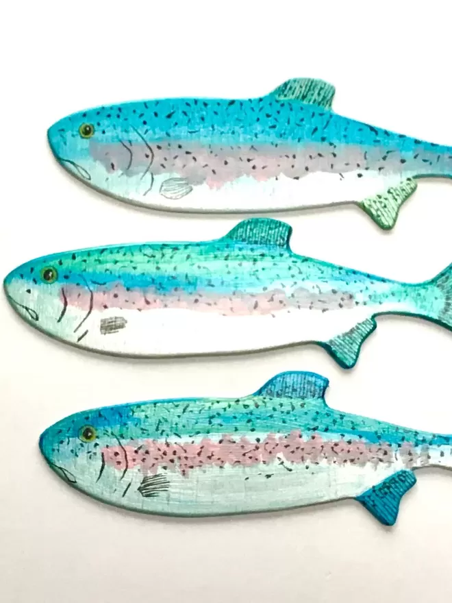 3 Rainbow Trout facing the same direction against a white wall