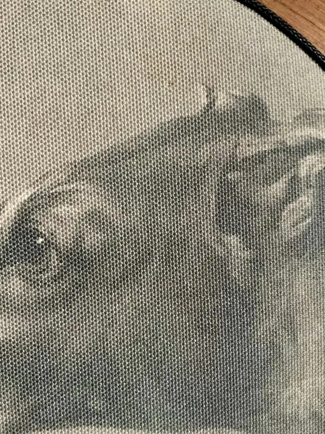 greyhound print on canvas detail