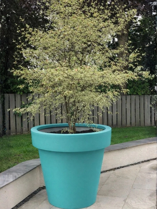 The light blue Biggie combines a large, welcoming shape with a fresh, relaxed colour perfect for coastal or tropical spaces. Its generous volume makes it ideal for statement shrubs and lush planting on terraces or poolside areas. Made from tough yet lightweight material, it’s easy to move and resistant to changing weather.