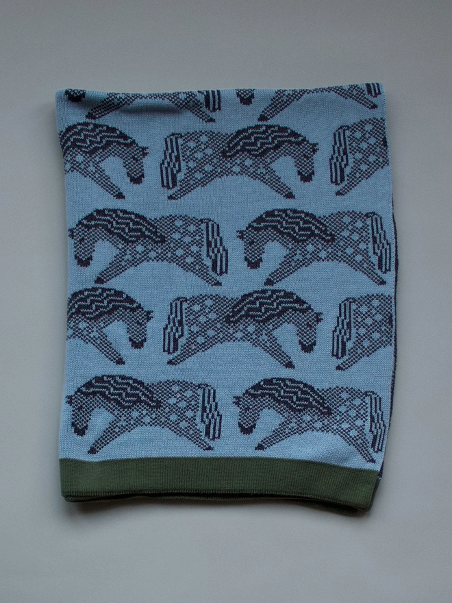 Blue Horse Blanket