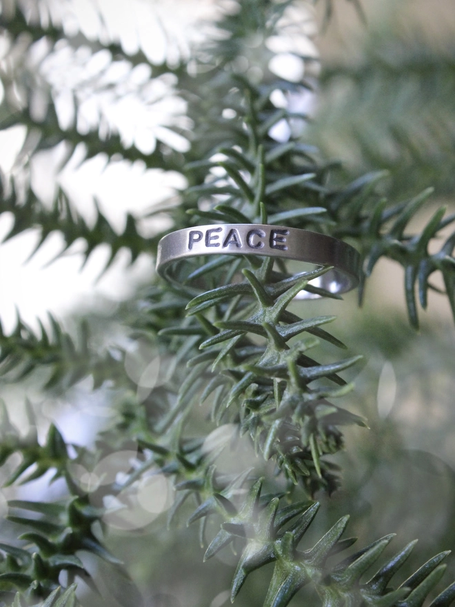 A sterling silver ring band with the word 'peace' stamped on it, resting on the branch of a green fir tree.