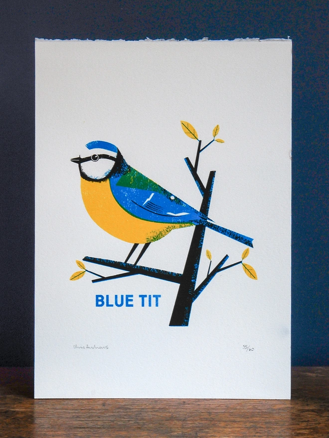 A screenprint of a Blue Tit Bird on white paper against a navy blue background. This is a close up image without anything else in the frame.