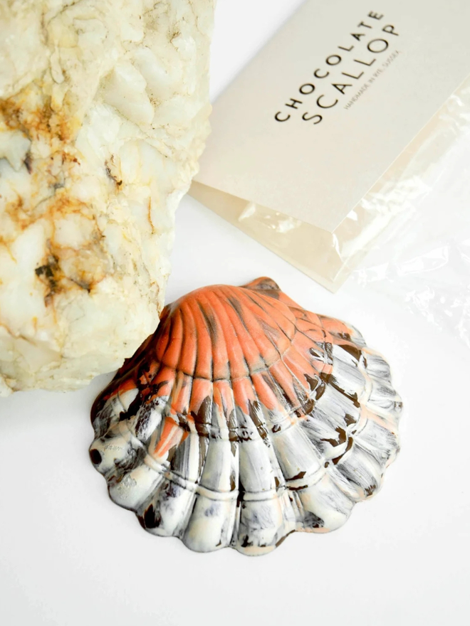 Chocolate scallop shell