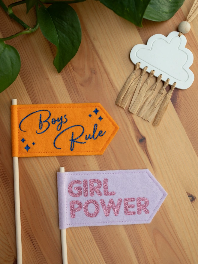 2 handheld felt flags, 1 that has the words "boys rule" written on it and the other "girl power"