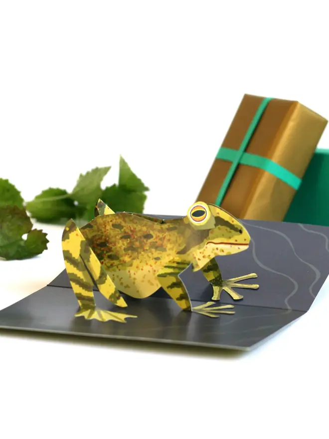 3d frog pop out card