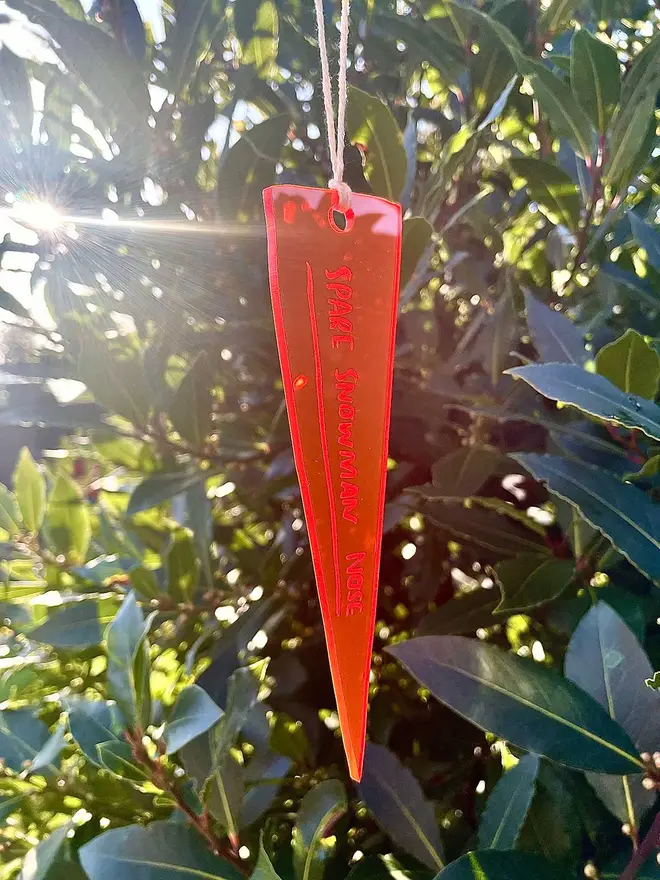 Spare snowman nose hangs in the sun