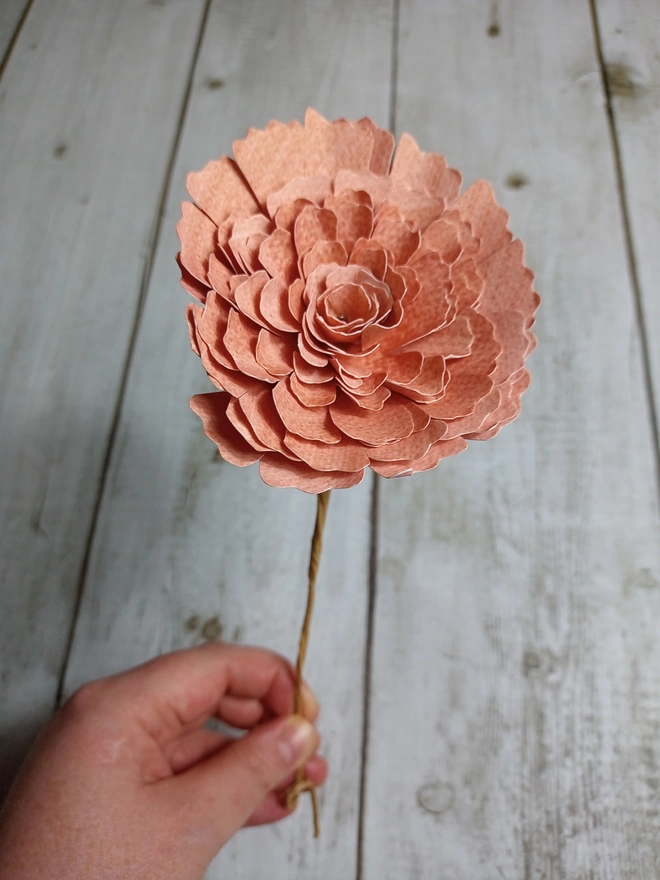 peach ranunculus flower wall hanging