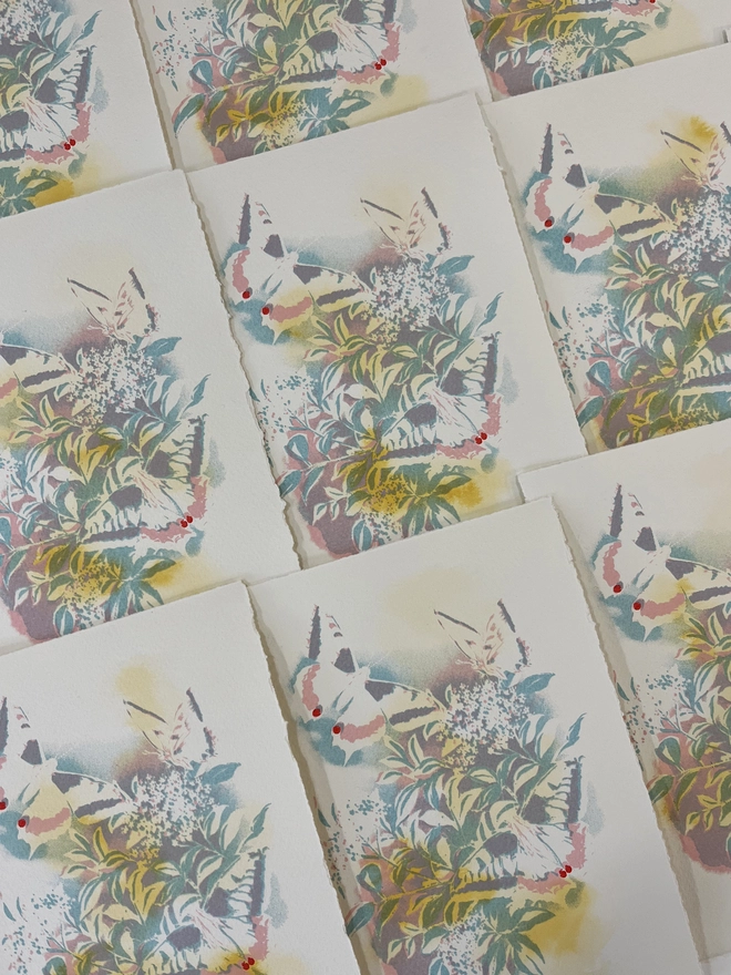 Happy Hour screen printed art by Kath Leone Swallowtail butterfly elderflower