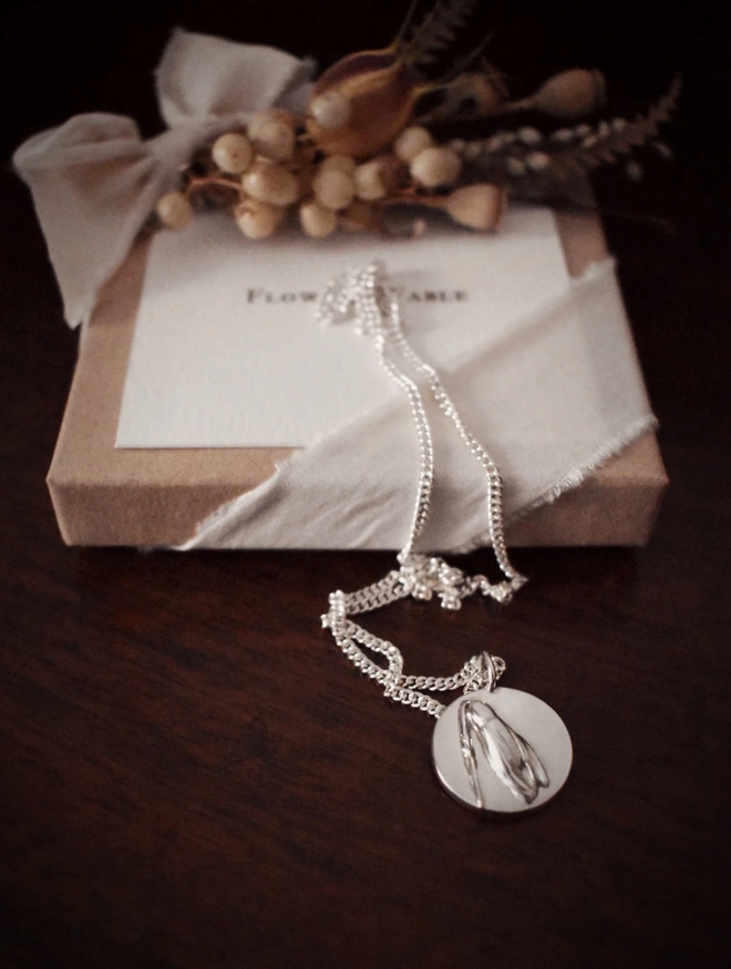 Sterling Silver Snowdrop Coin Necklace
