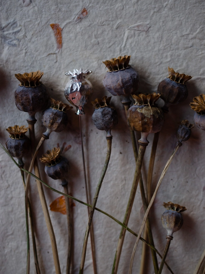 Handmade Poppy Seed Head Stem By Ellenlou