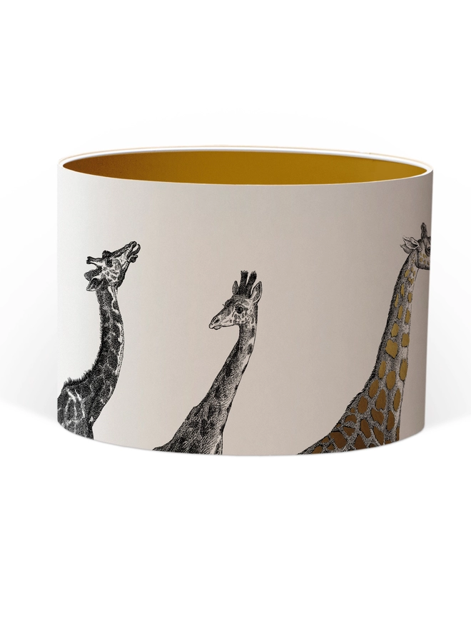 Drum Lampshade featuring Giraffes with a Gold inner on a white background