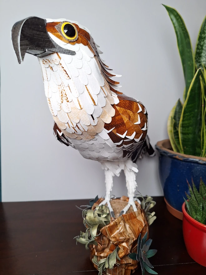 Osprey paper art