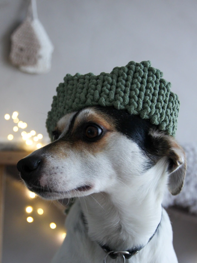 sage crochet cotton crown