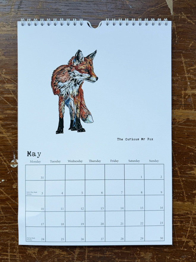 The curious Mr Fox for May