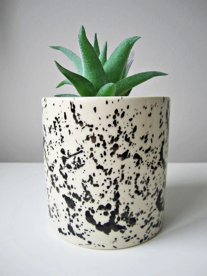 Set of 3 Splatter Plant Pots