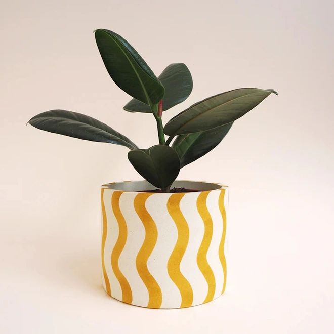 Large Stripes Jesmonite Pot.  Green plant sits in a white ceramic pot decorated with vertical yellow wavy stripes against a plain light background.