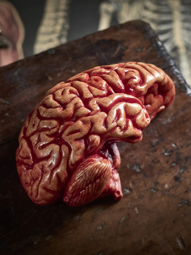 Realistic edible chocolate human brain on antique table