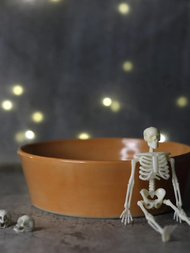 Classic Pasta Bowl, a colourful ceramic bowl sitting on a black surface against a fairy light backdrop. It is accompanied by a small skeleton. 