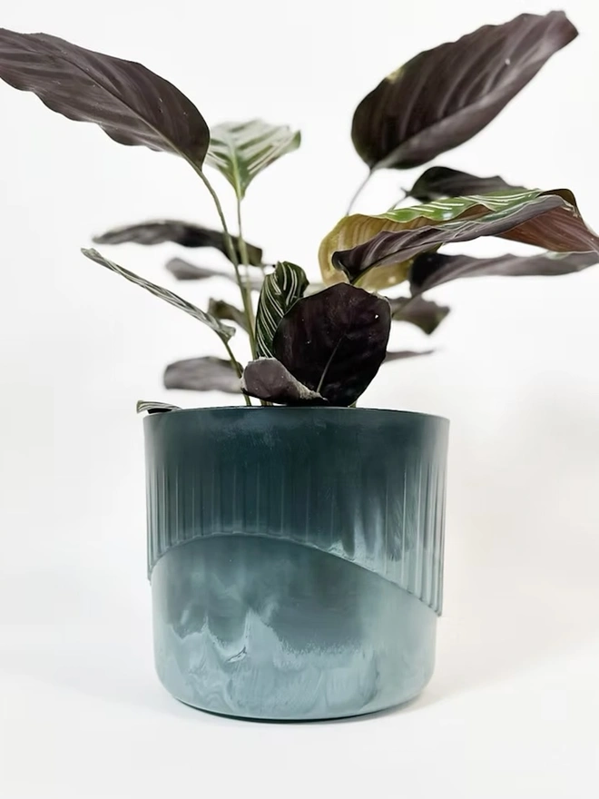 Ocean Plastic Plant Pot Medium, a recycled blue plant pot sitting on a plain surface against a white backdrop. It is accompanied by some plants. 