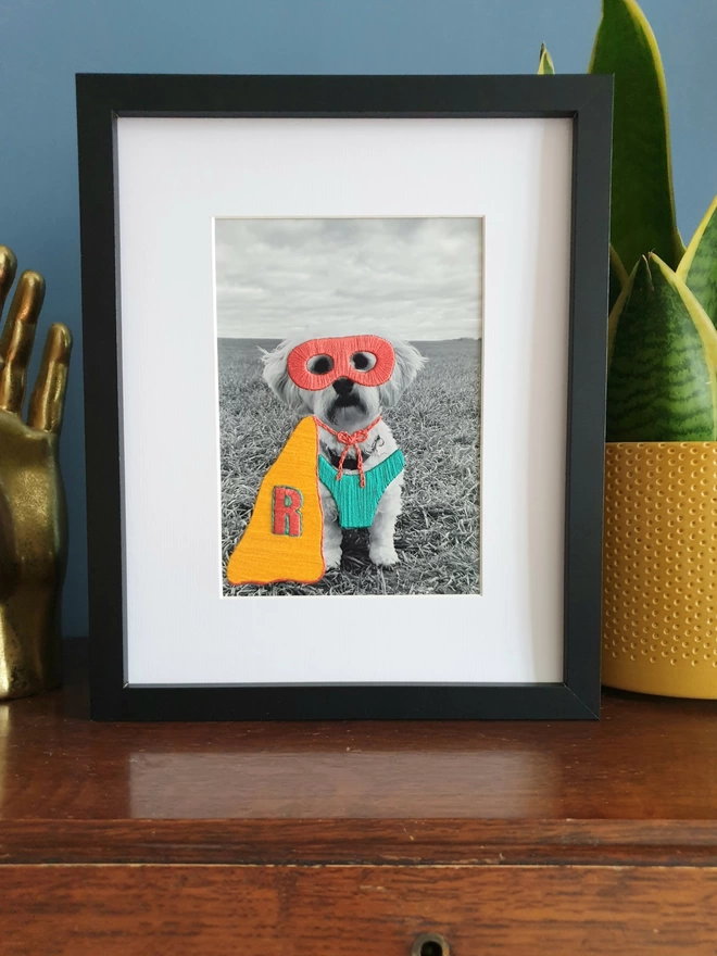 Pet photograph with hand embroidered mask, cape and initial in black frame on desk