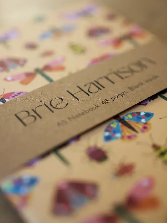 illustrated insects notebook