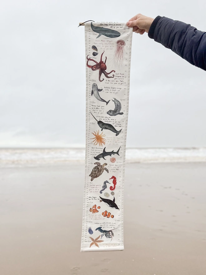 The Under the Sea height chart in front of the sea